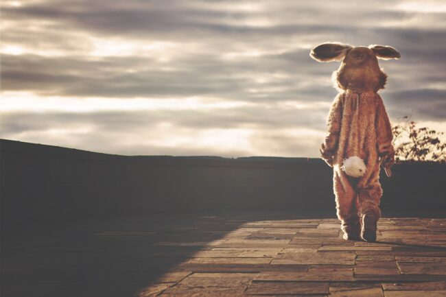 rabbit-g89bef8472_1280