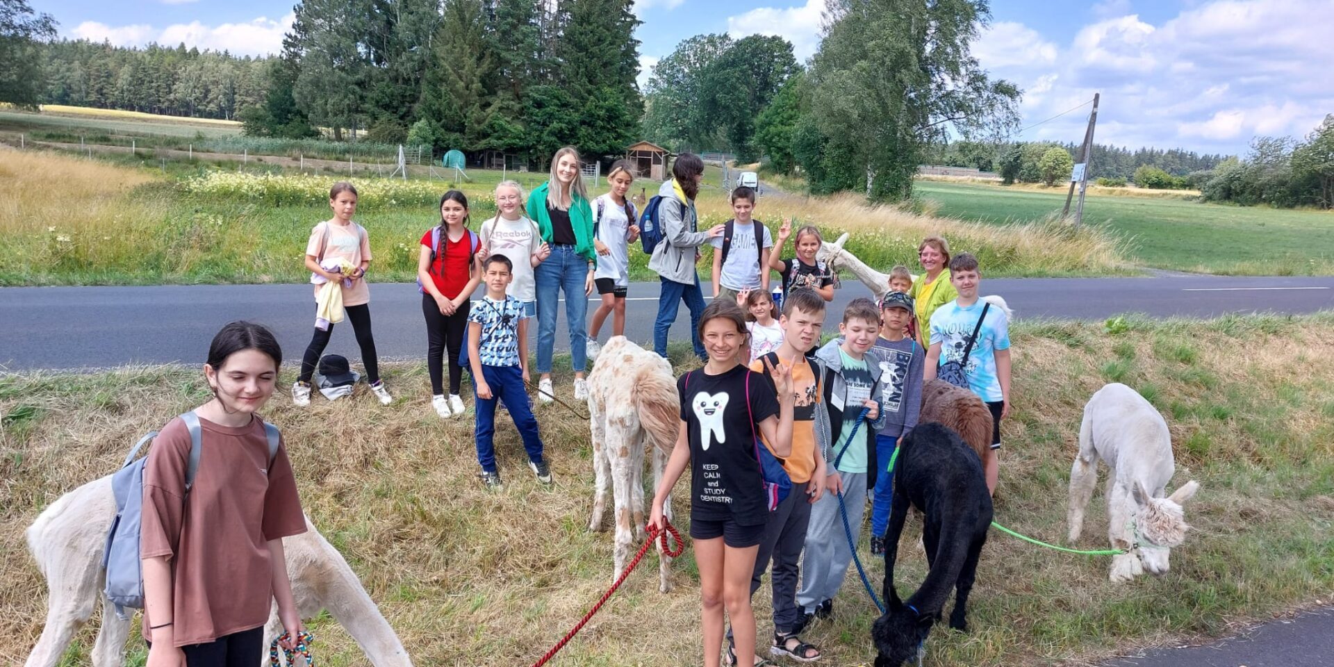 8DB1F79D-C51C-4CC5-BA80-7F2F5B291E04