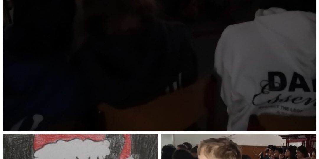 Collage_20241219_143617