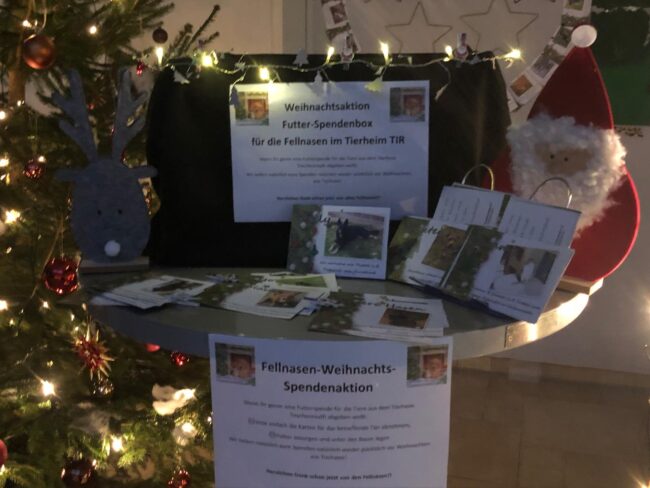 PHOTO-2024-12-03-16-31-33(1)